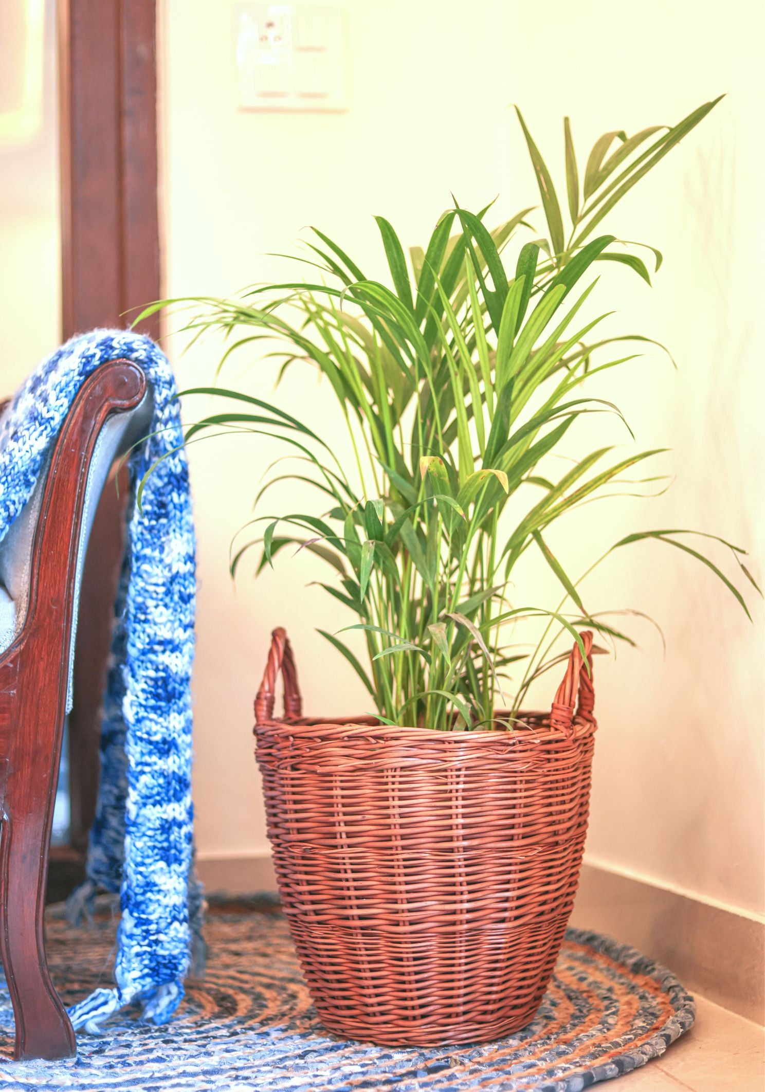 English Willow Planter with handles handcrafted in Kashmir