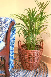 English Willow Planter with handles handcrafted in Kashmir